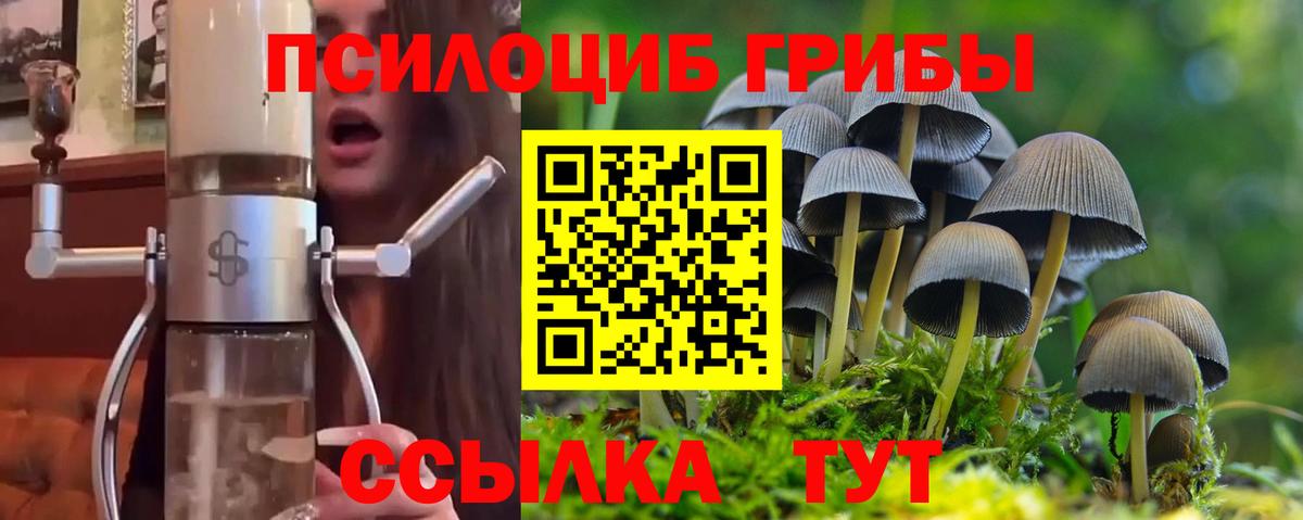 Люберцы  Псилоцибиновые грибы Psilocybe  Вход с VPN 